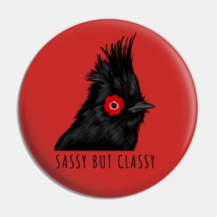 Sassy but Classy Black Cardinal Pin