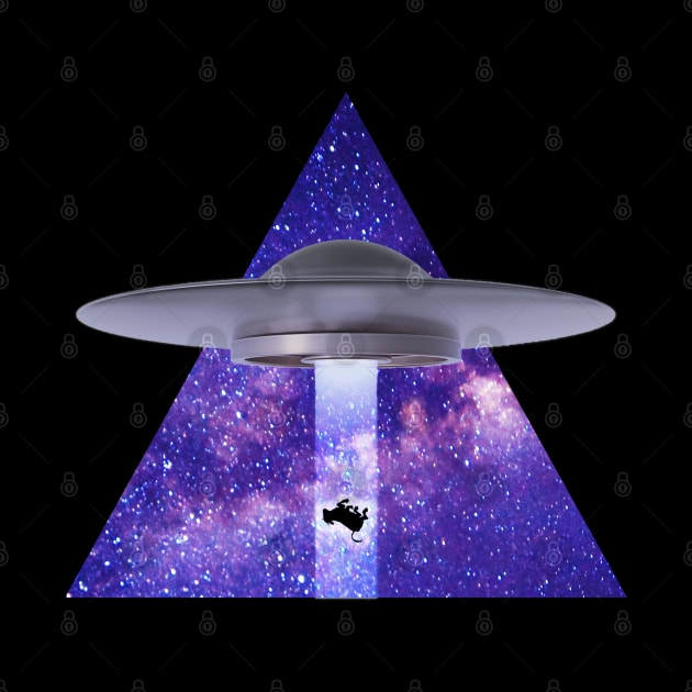 UFO Abduction by Weird Science Pod