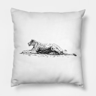 Relaxing Lioness in the tundra Pillow