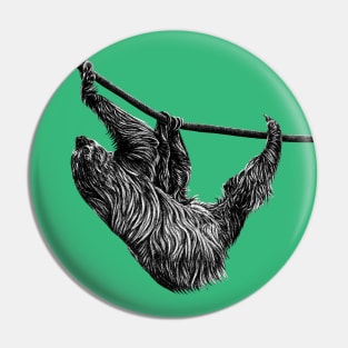 Linnaeus's two-toed sloth Pin