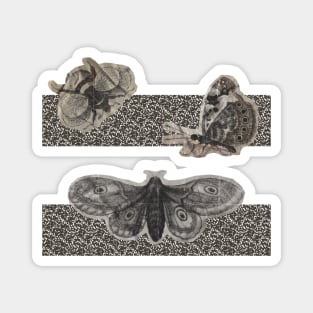 abstract lost moth Magnet