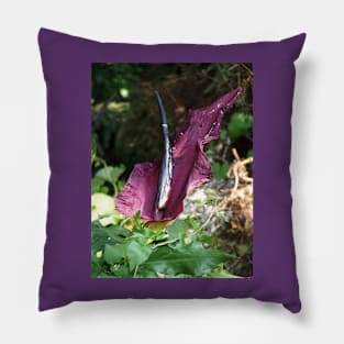 Oregon "Passionflower" #10 Pillow