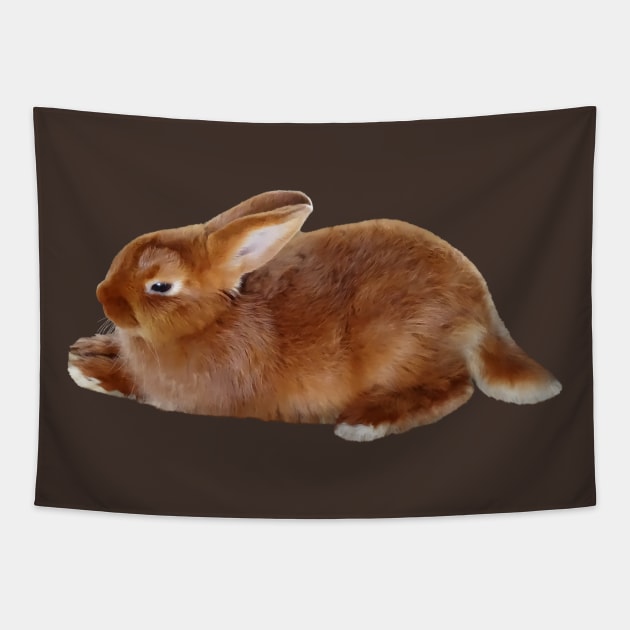 Brown Rabbit Tapestry by SusanSavad