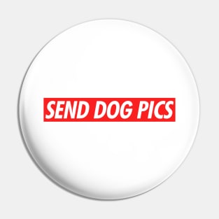 Send Dog Pics Pin