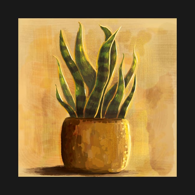 Potted Snake Plant by rnmarts