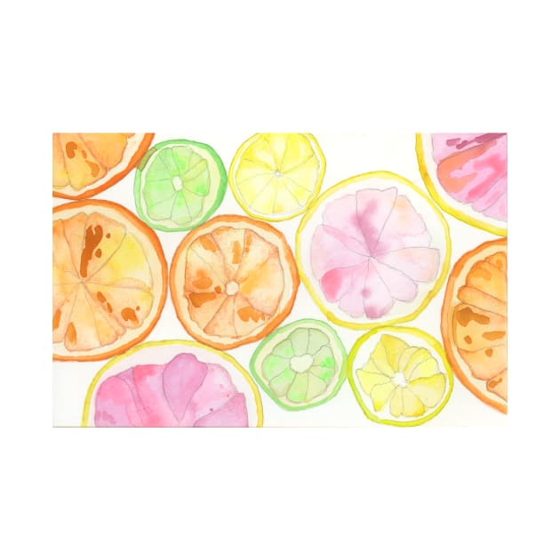 Citrus Slices by ellenmueller
