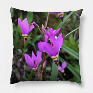 Driftless wildflowers Pillow