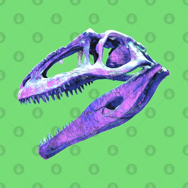 Dino Skull by Art of V. Cook