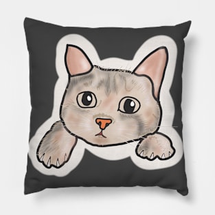 Cute puppy cat Pillow