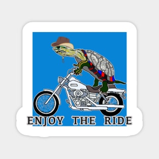 Turtles, Painted Turtle, Cowboy Turtle, Motorcycle Rider, Enjoy the Ride, Painted Turtles, Illinois Magnet