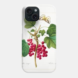 Red Currant, 1827 Phone Case