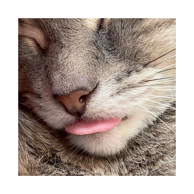 Grey Cat Tongue Blep (gifts) by VisualSpice
