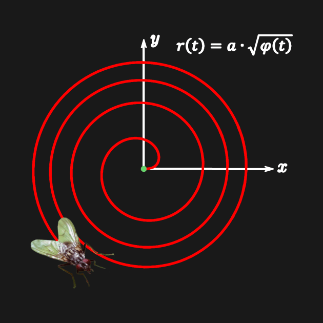 Fermatsche Spiral math fly by Pirino