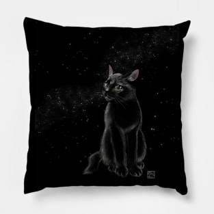 Starry Sky Pillow