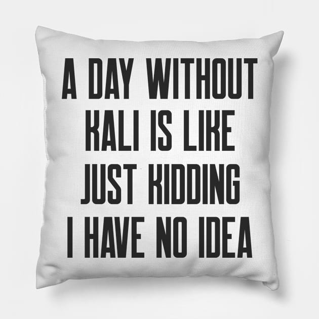 Cybersecurity A Day Without Kali Is Like Just Kidding I Have No Idea Pillow by FSEstyle