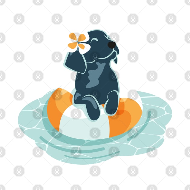 Summer pool pawty // aqua background Labrador Retriever dog breed in vacation playing on swimming pool by SelmaCardoso