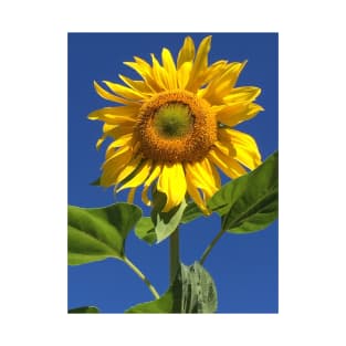 Sunflower on a Clear Day T-Shirt