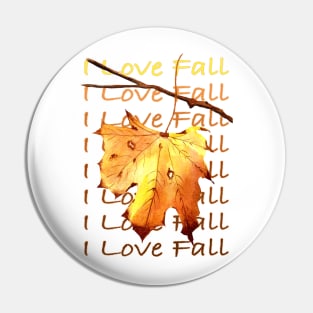 Fall Colors, I Love Fall Pin