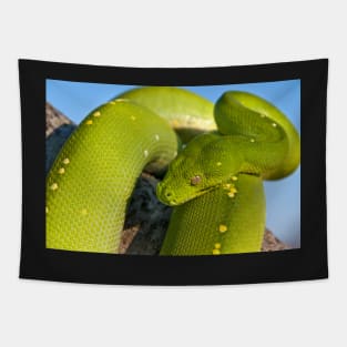 Green Tree Python, Australian Reptile Tapestry