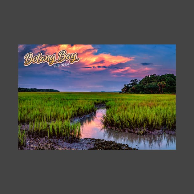 Botany Bay South Carolina by Gestalt Imagery