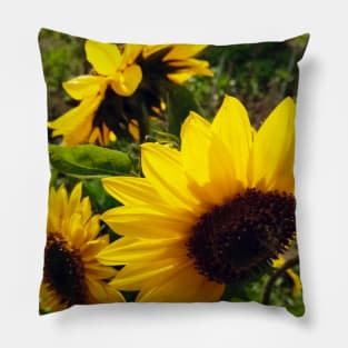 Sunflowers Pillow