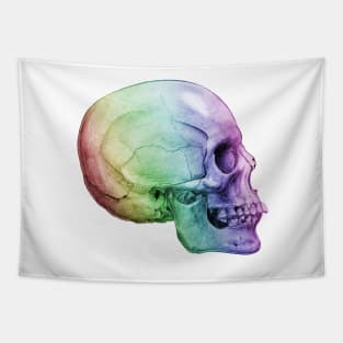 Rainbow Skull Tapestry