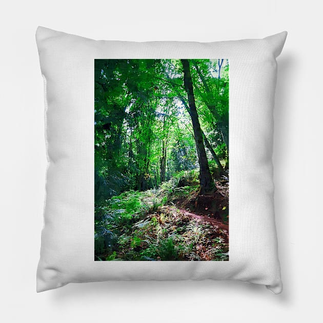 Sunlight And The Trail Pillow by KirtTisdale