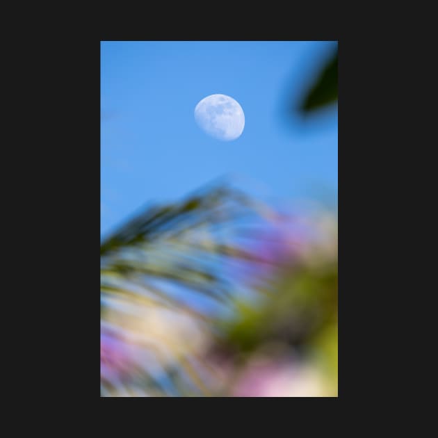 Day Moon with Palm Trees in Foreground by cowabango