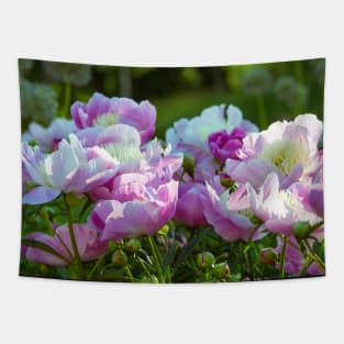 Blooming peonies Tapestry