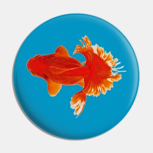 Tosakin goldfish Pin