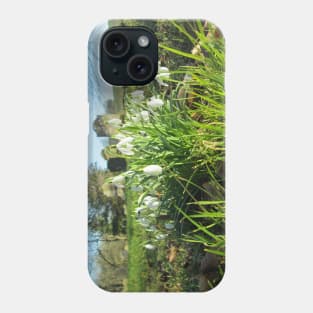 Fully Bloomed Snowdrops in Churchyard Phone Case