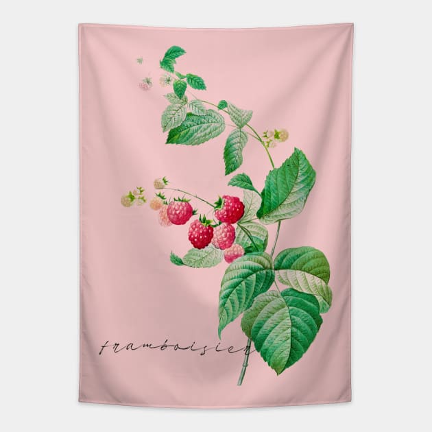 Vintage Raspberry Illustration Tapestry by thecolddots