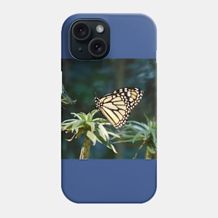 Monarch in waiting Phone Case