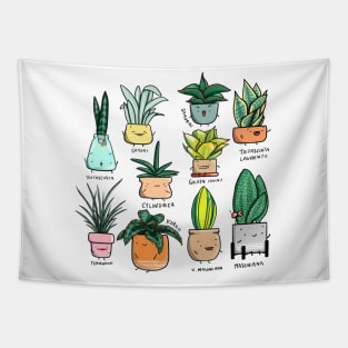 Sansevieria Tapestry