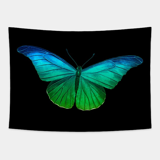Vintage Rainbow Butterfly Tapestry by littleprints