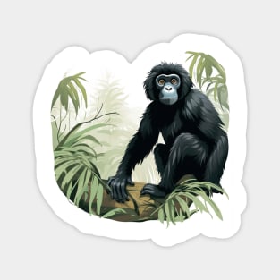 Siamang Magnet