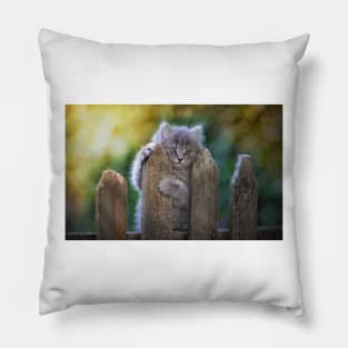 Persian Cat Digital Painting Pillow