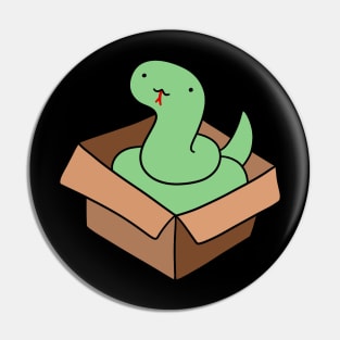 Green Snake in a Box Pin