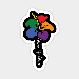 Love is Love Magnet