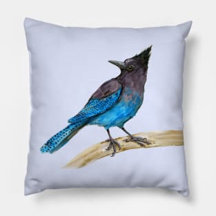 Steller's jay watercolor Pillow