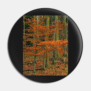 An Autumn Flame In The Woods Pin