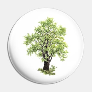 April birthday elm tree Pin