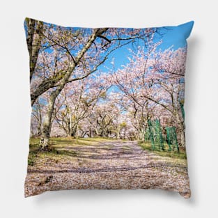 SCENERY 75 - Baby Pink Flower Blooming Tree Blue Sky Pillow