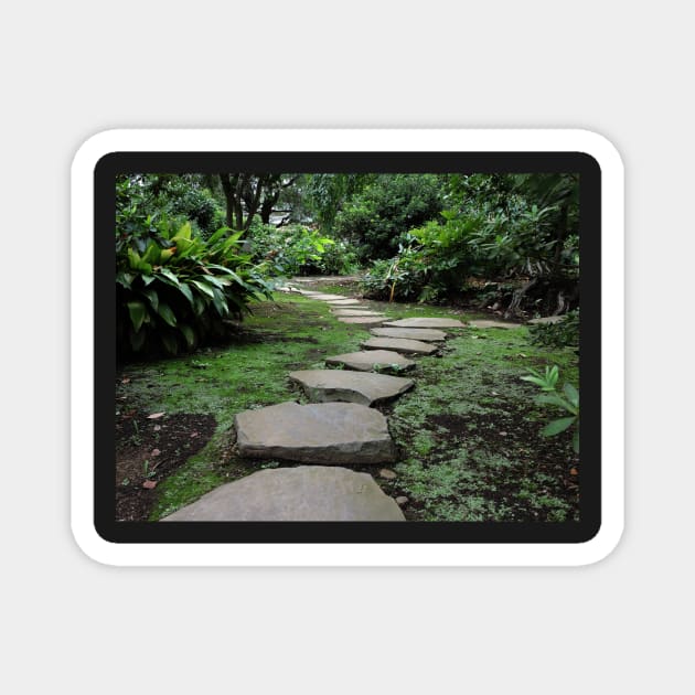 Stepping Stones in a Japanese Garden Magnet by kansaikate