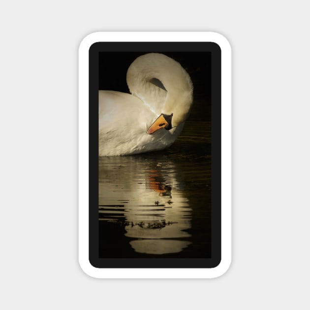 THE UGLY DUCKLING Magnet by dumbodancer