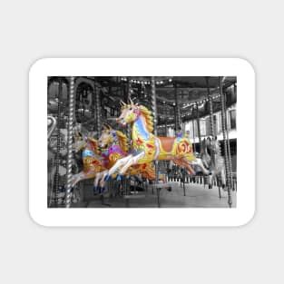 Carousel Horses Magnet