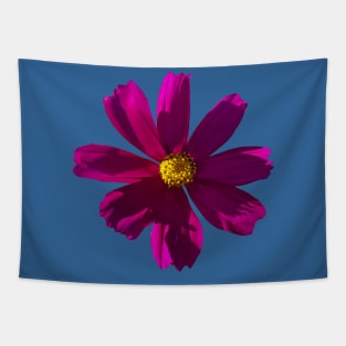 Dark Pink Cosmos Flower Tapestry