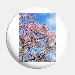 Spring - Magnolia Against the Sky Pin