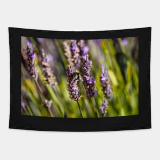 Bumblebee on lavender Tapestry