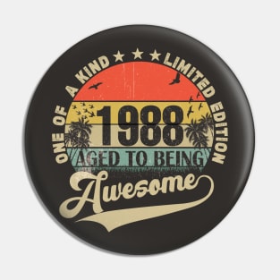 Vintage Year 1988 Pin